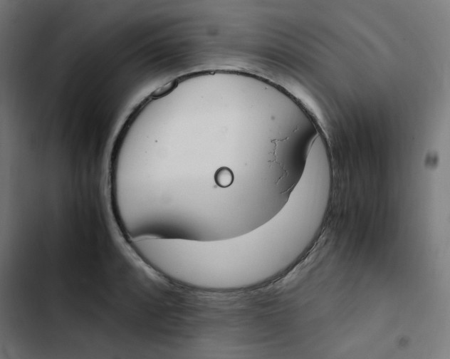 X0000103331088200809261155