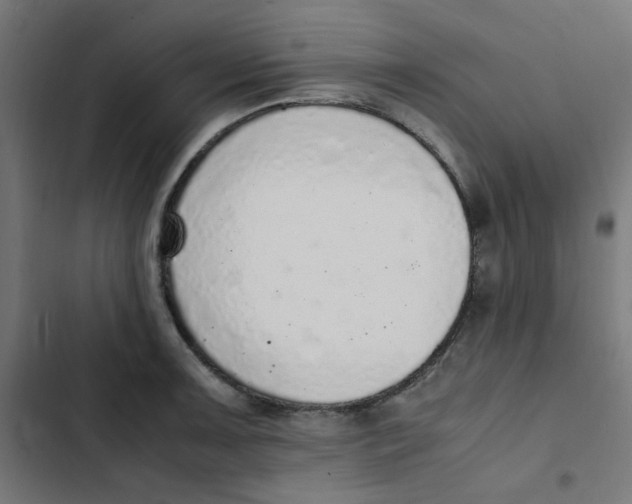 X0000103331091200809261155