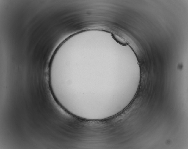 X0000103331092200809261155