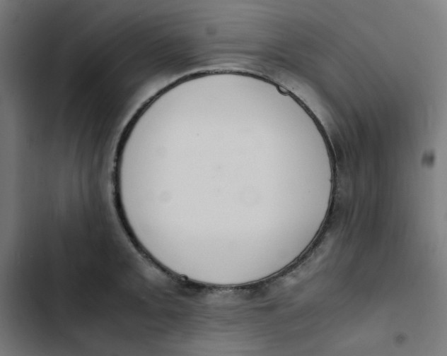 X0000103331093200809261155