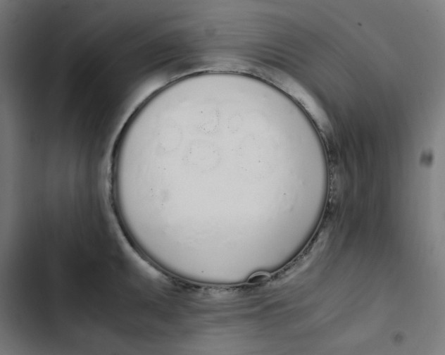 X0000103331095200809261155