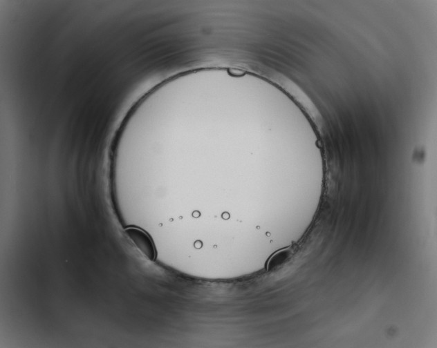 X0000103331096200809261155