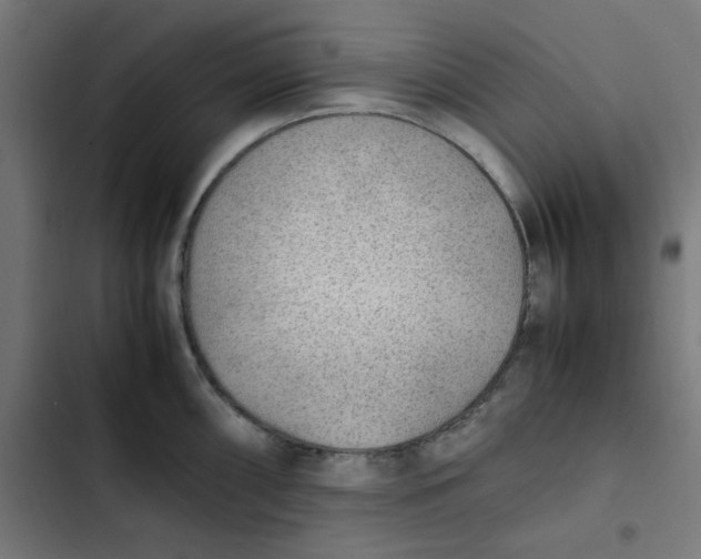 X0000103331098200809261155