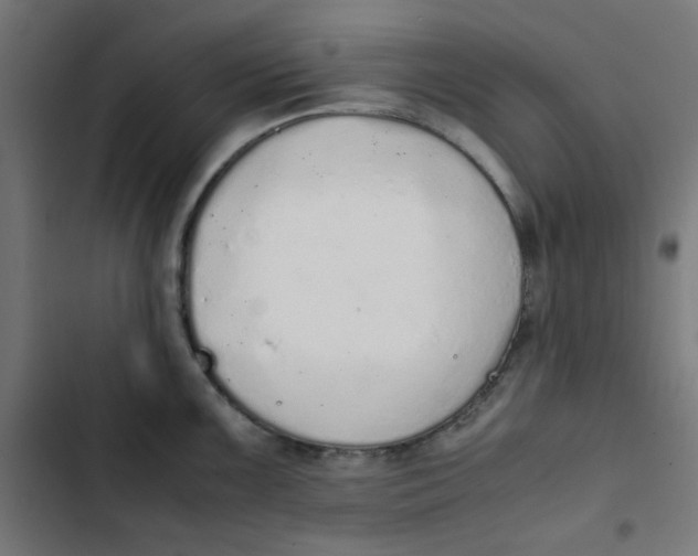 X0000103331099200809261155