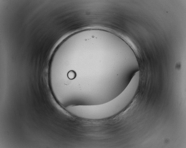 X0000103331100200809261155