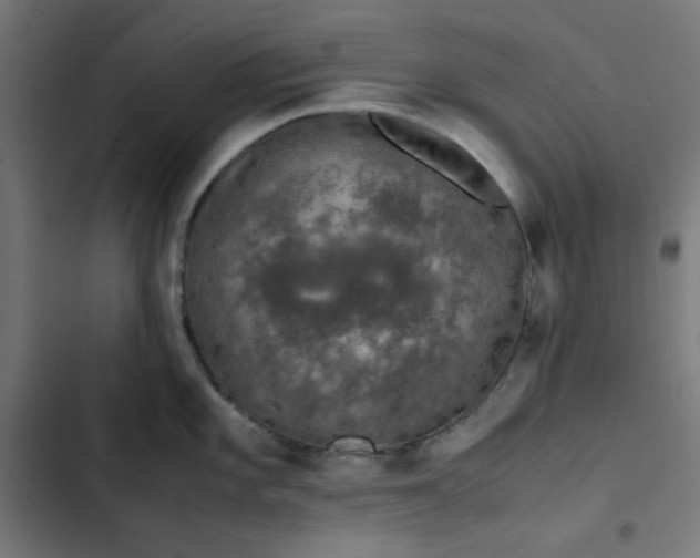 X0000103331101200809261155