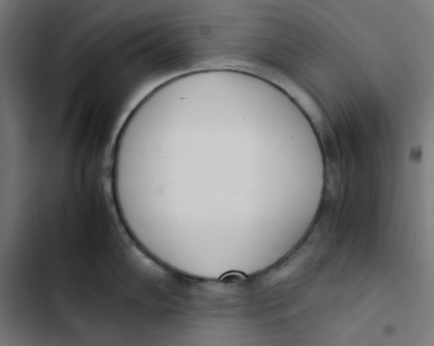 X0000103331102200809261155