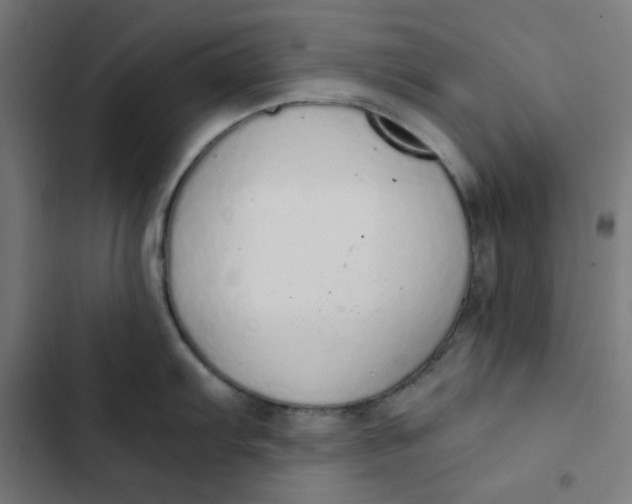 X0000103331103200809261155