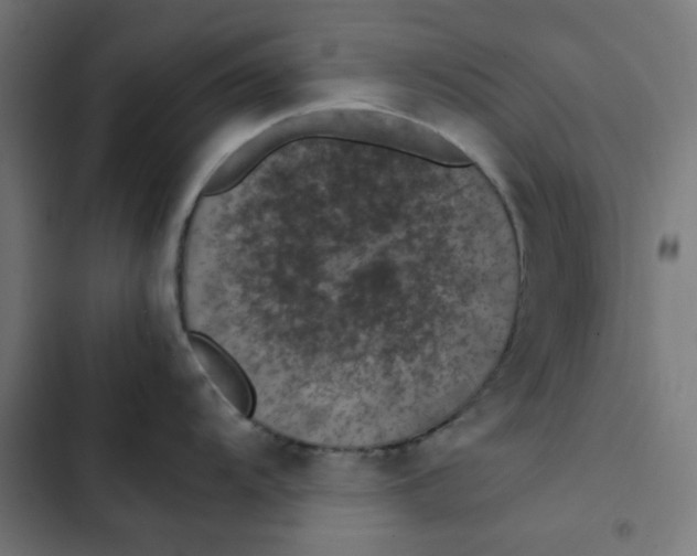 X0000103331104200809261155