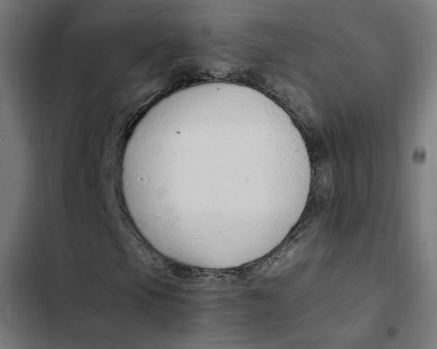 X0000103331105200809261154