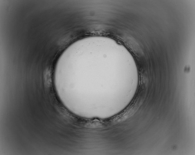 X0000103331106200809261154