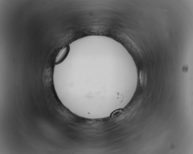 X0000103331107200809261154