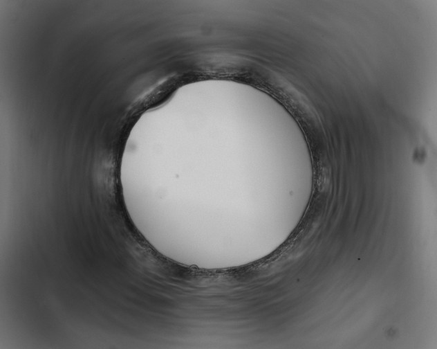 X0000103331108200809261154