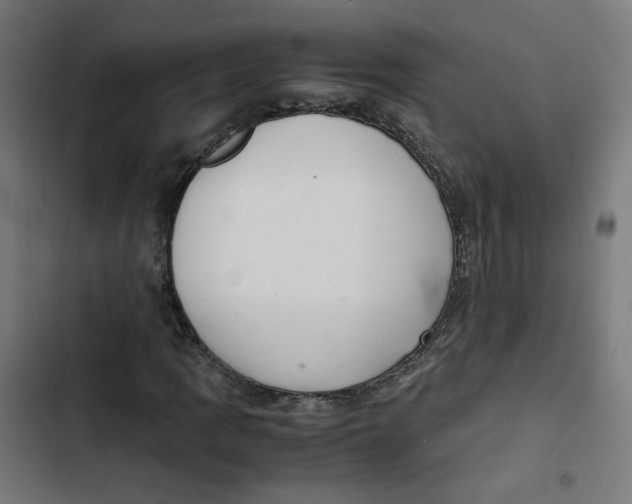 X0000103331109200809261154