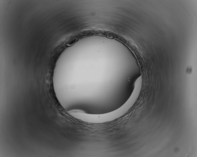 X0000103331110200809261154