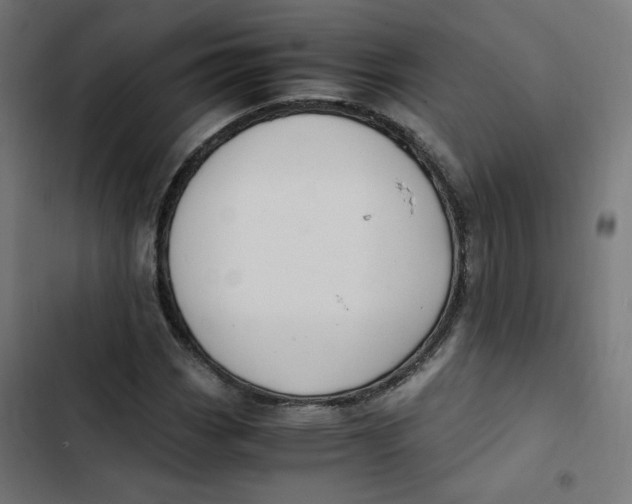 X0000103331113200809261154