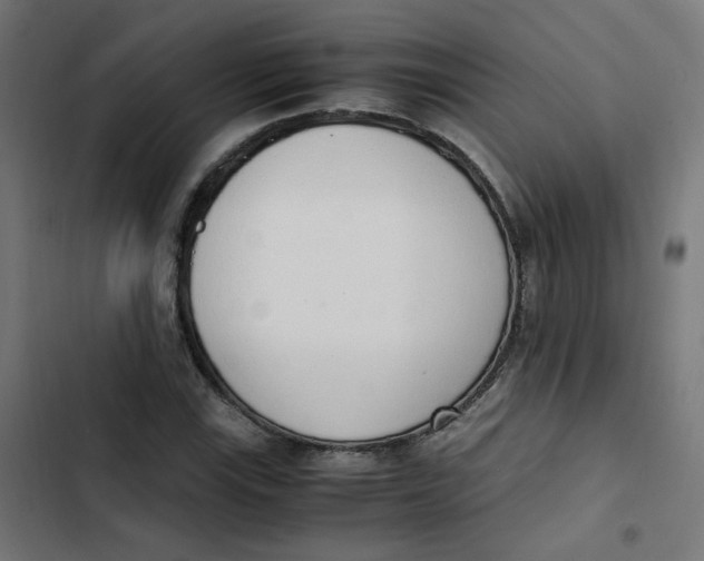 X0000103331115200809261154