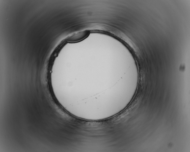 X0000103331116200809261154