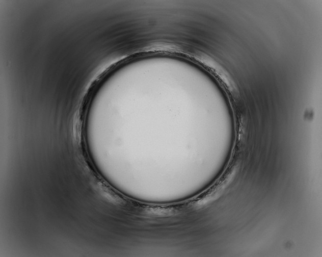 X0000103331117200809261154