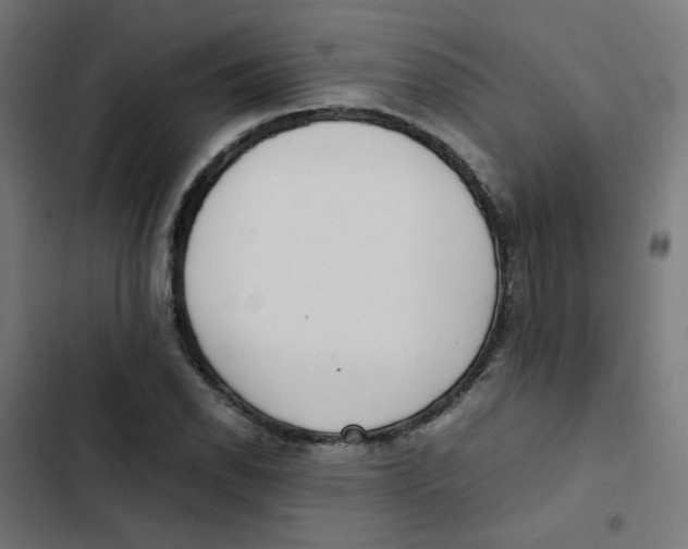 X0000103331118200809261154