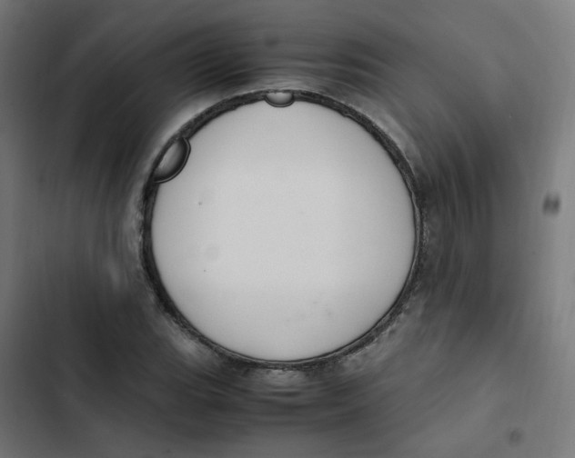 X0000103331119200809261154