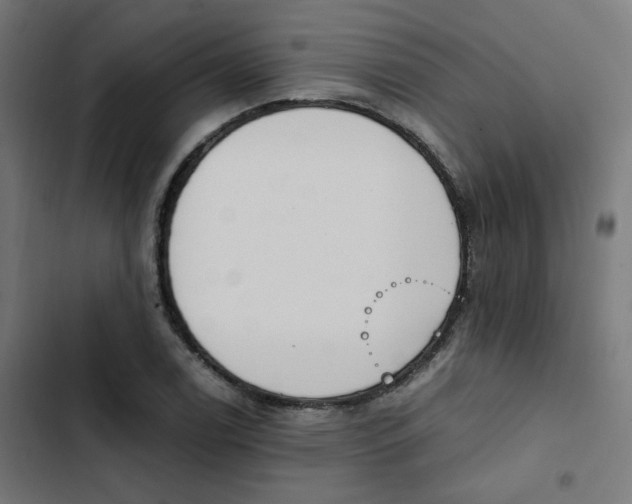 X0000103331122200809261154