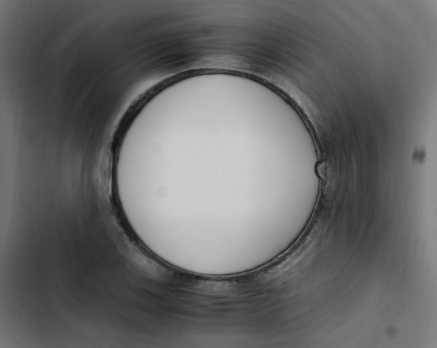 X0000103331123200809261154