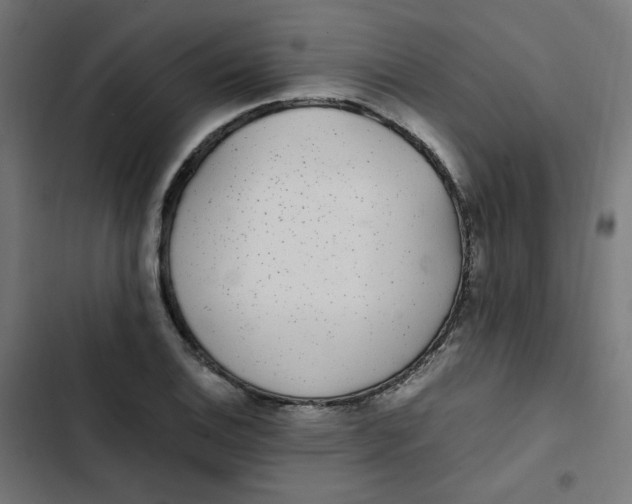 X0000103331124200809261154