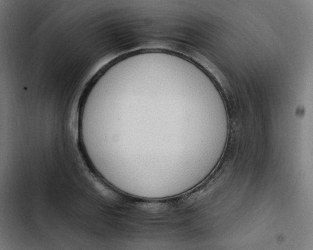 X0000103331127200809261154