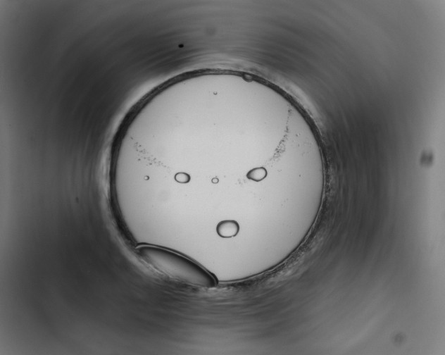 X0000103331128200809261154