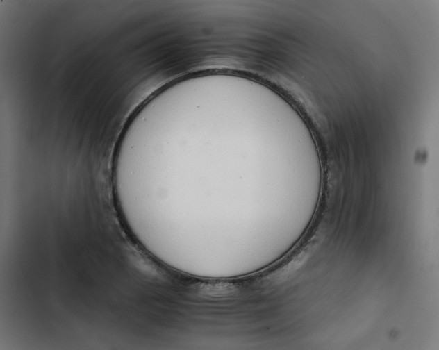 X0000103331129200809261154