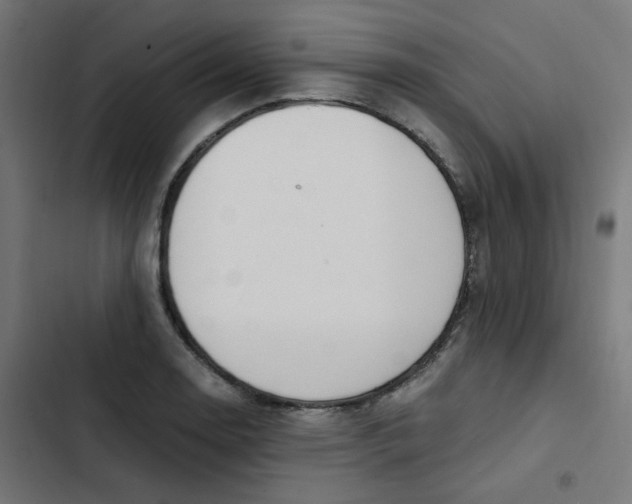 X0000103331130200809261154