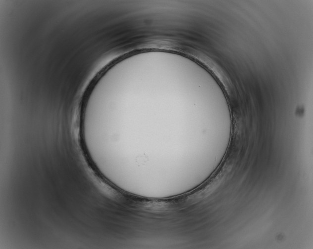 X0000103331131200809261154