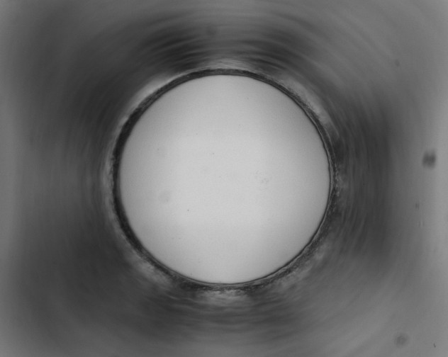 X0000103331133200809261154