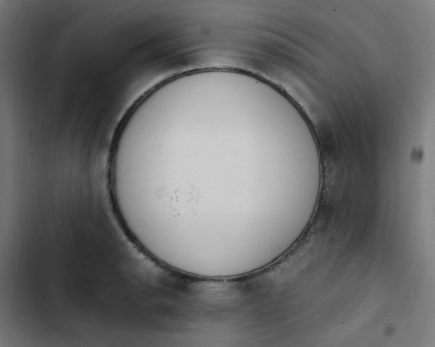 X0000103331134200809261154