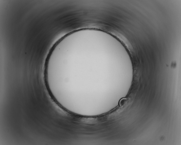 X0000103331135200809261154