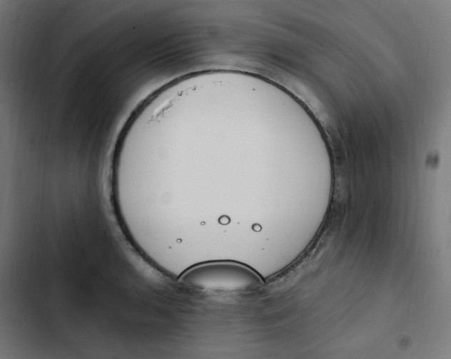 X0000103331136200809261154