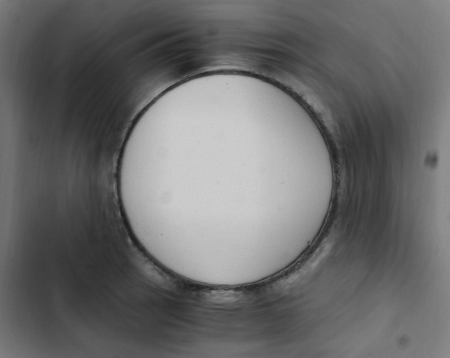 X0000103331137200809261155