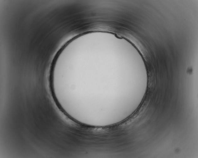 X0000103331139200809261155