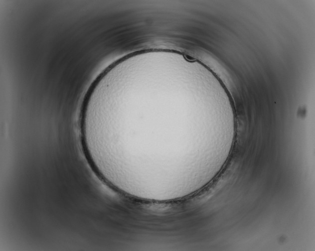 X0000103331141200809261155