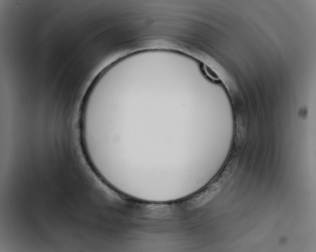 X0000103331142200809261155