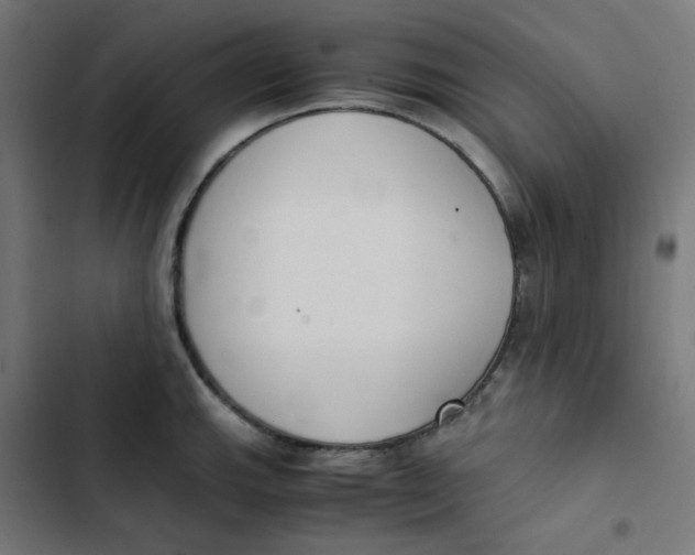 X0000103331143200809261155