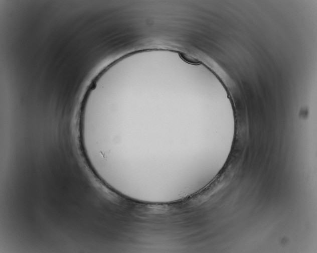 X0000103331144200809261155