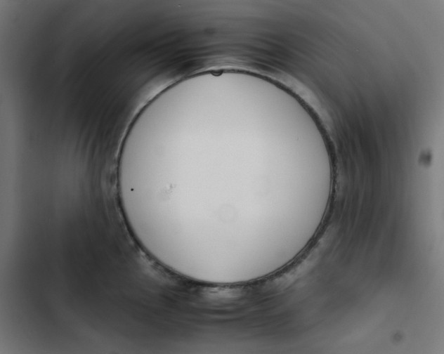 X0000103331145200809261155