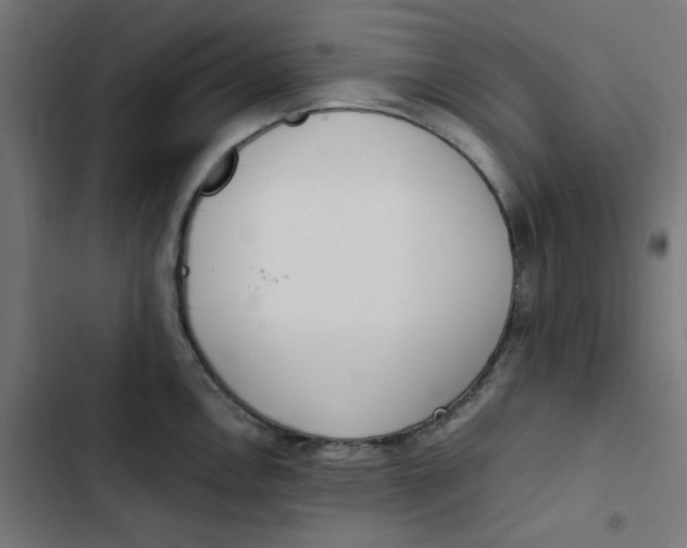 X0000103331146200809261155