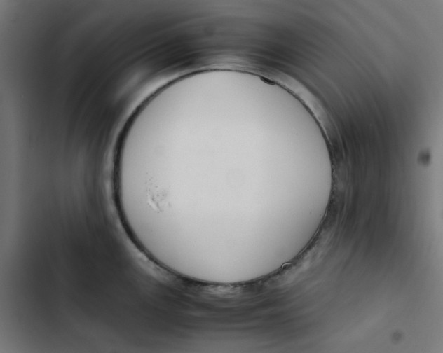 X0000103331147200809261155