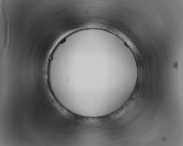 X0000103331148200809261155