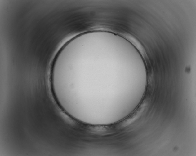 X0000103331149200809261155