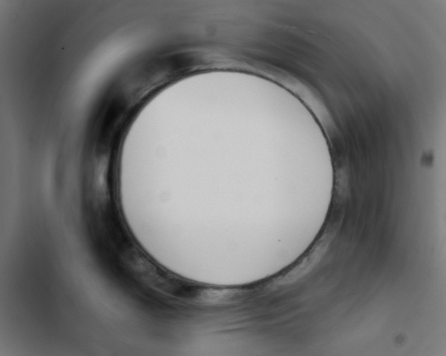 X0000103331150200809261155