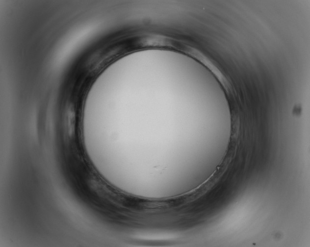 X0000103331151200809261155